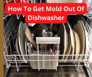 How To Get Mold Out Of Dishwasher