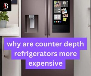 Why Are Counter Depth Refrigerators More Expensive